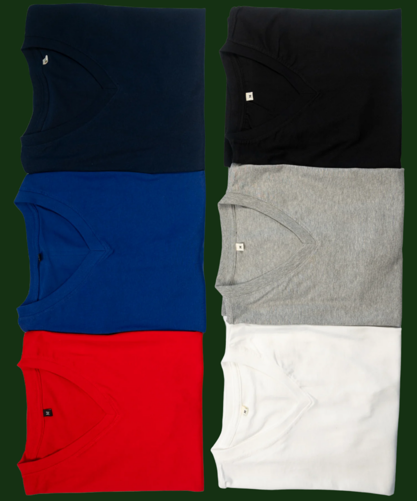 Classic V-Neck T-Shirt